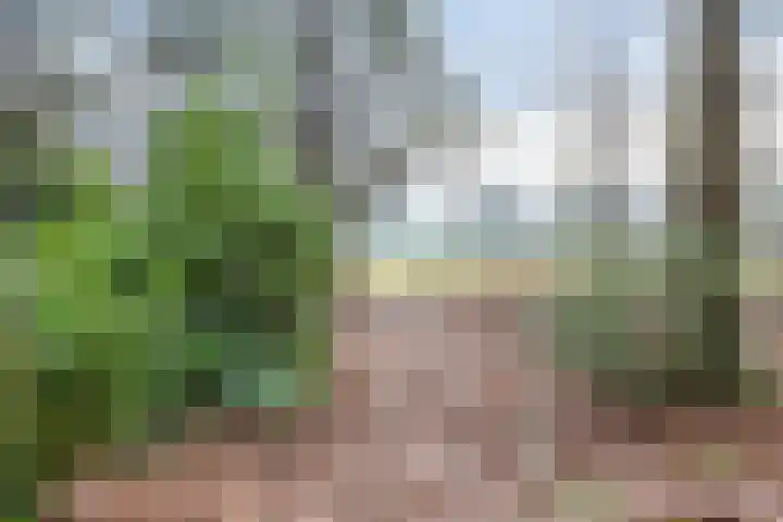 Ballerswal 24 Eeserveen thumbnail 31