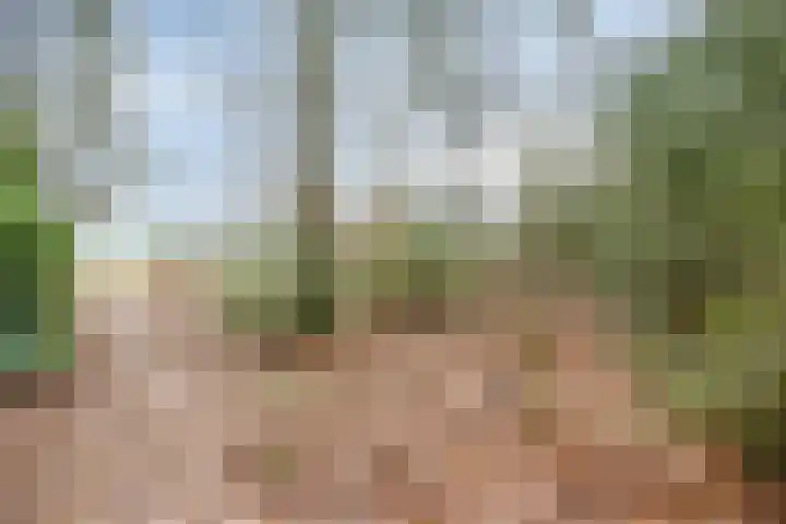Ballerswal 24 Eeserveen thumbnail 32