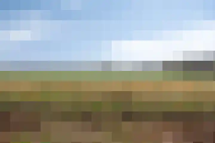 Ballerswal 24 Eeserveen thumbnail 34