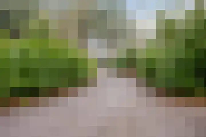 Ballerswal 24 Eeserveen thumbnail 36