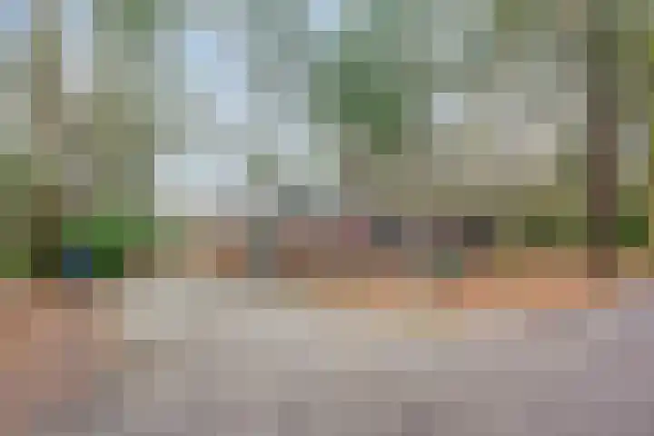 Ballerswal 24 Eeserveen thumbnail 6