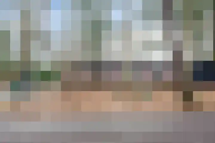 Ballerswal 24 Eeserveen thumbnail 7
