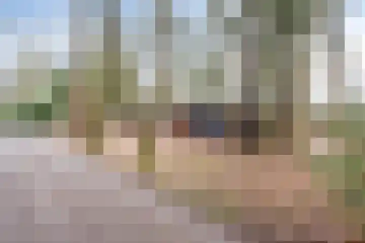 Ballerswal 24 Eeserveen thumbnail 8