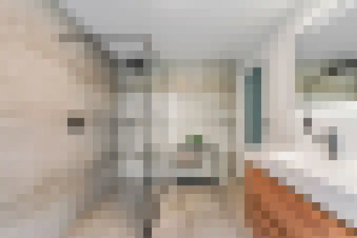 Ballistaruwe 25 Maastricht thumbnail 14
