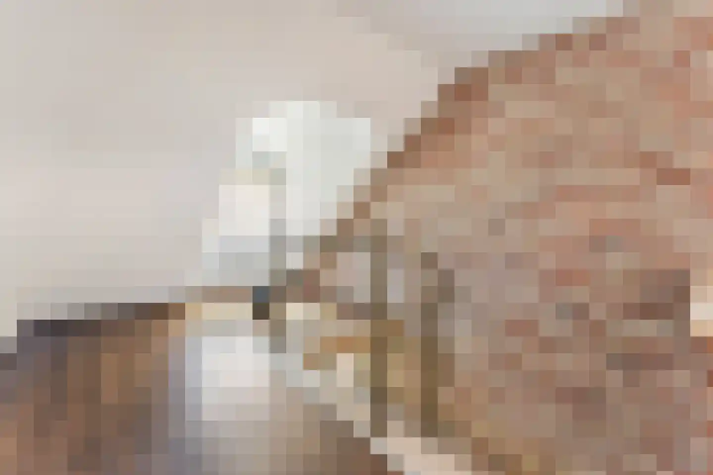 Ballistaruwe 25 Maastricht thumbnail 17