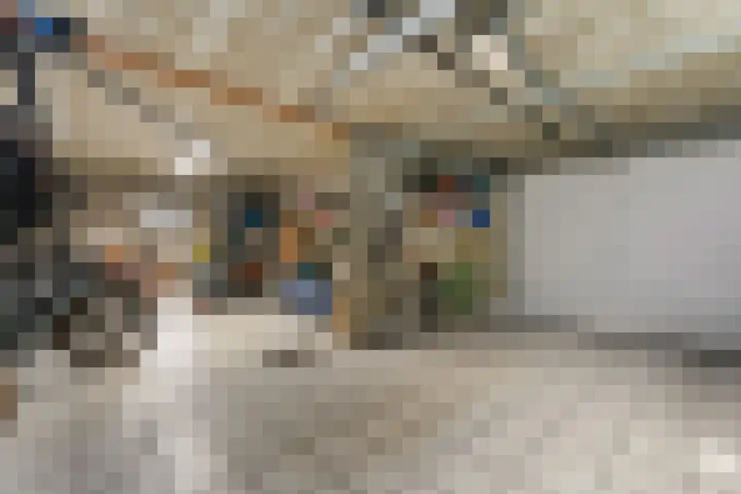 Ballistaruwe 25 Maastricht thumbnail 25