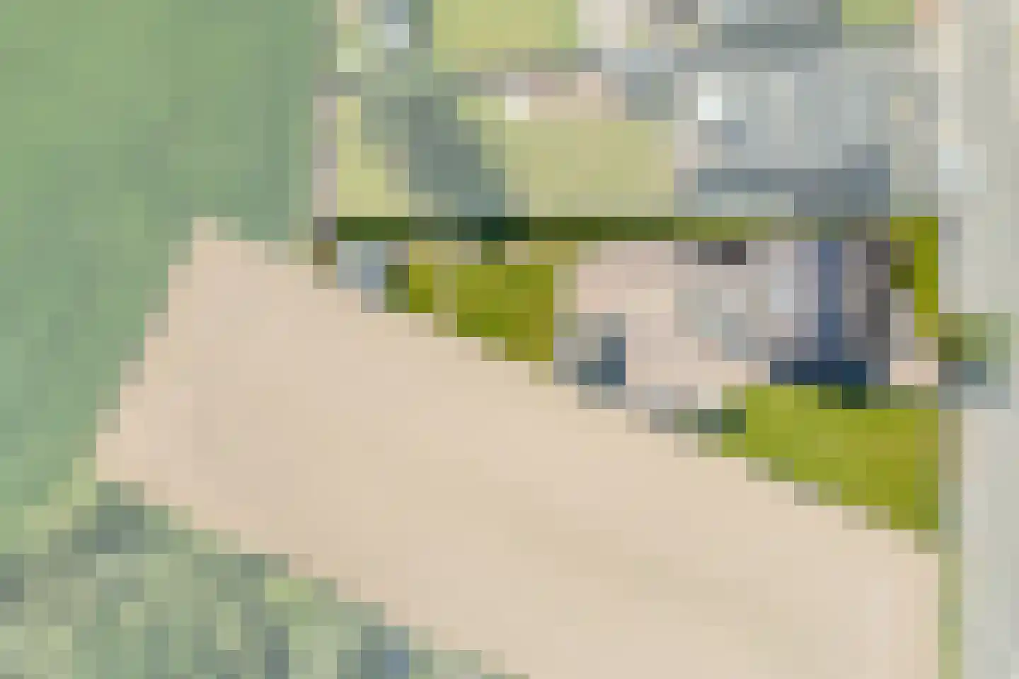 Ballistaruwe 25 Maastricht thumbnail 31