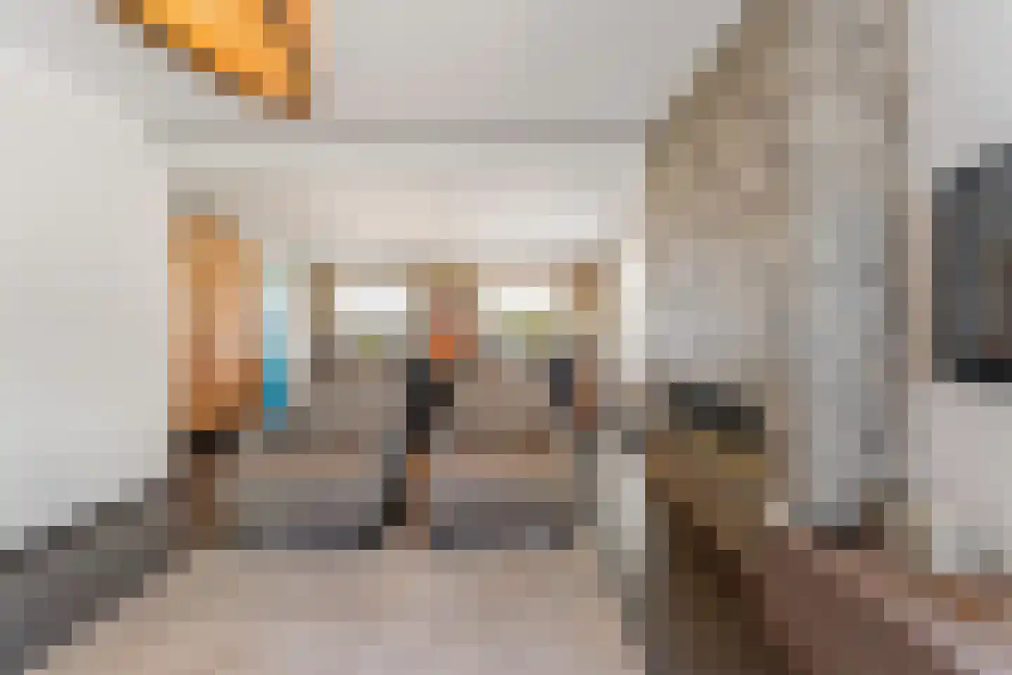 Ballistaruwe 25 Maastricht thumbnail 6