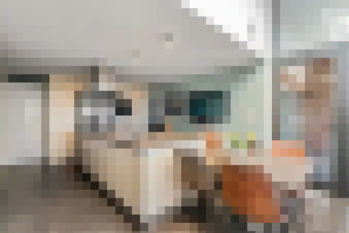 Ballistaruwe 25 Maastricht thumbnail 8