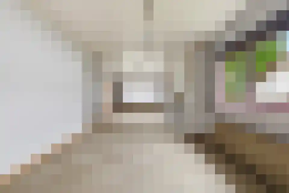 Ballistaruwe 3600 Genk Maastricht thumbnail 16