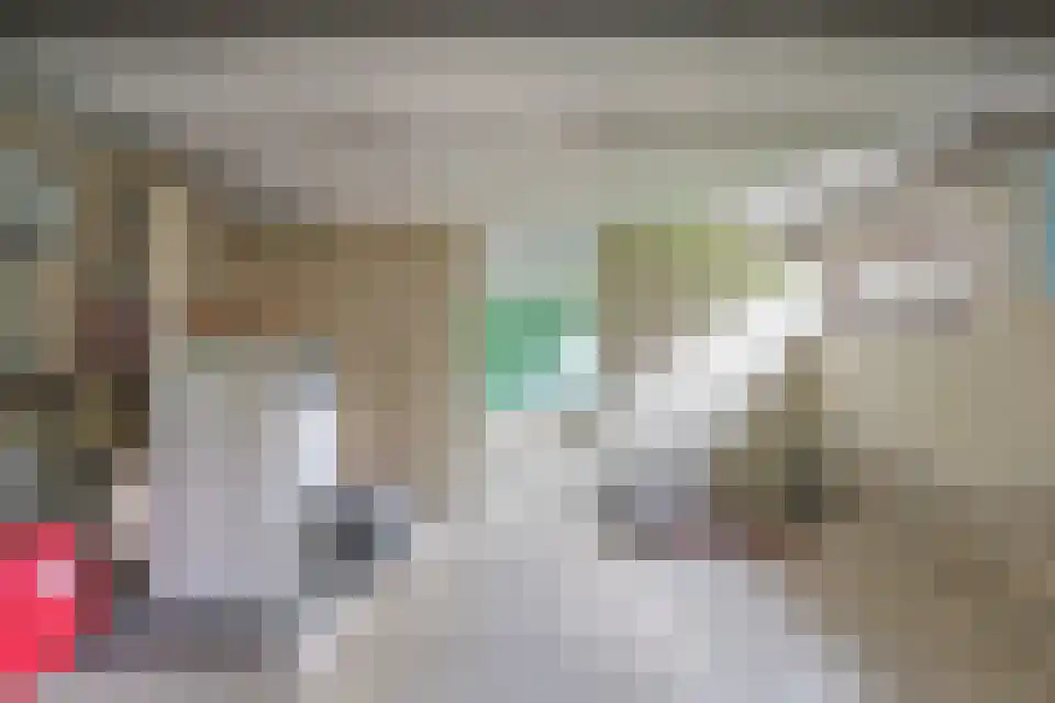 Ballistaruwe 3600 Genk Maastricht thumbnail 34
