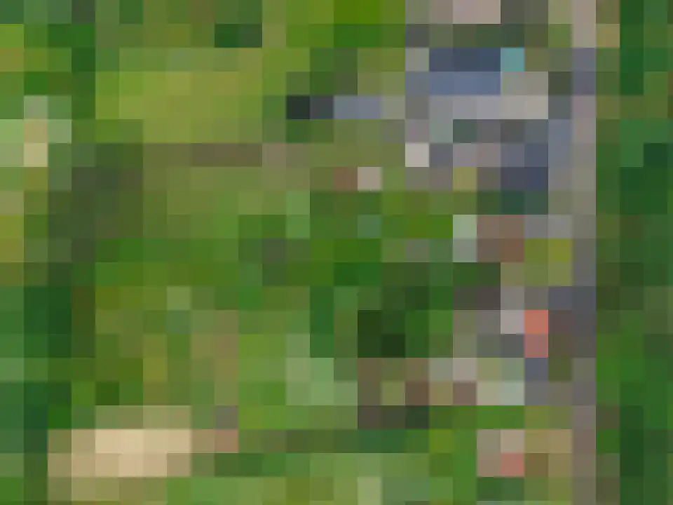 Ballistaruwe 3600 Genk Maastricht thumbnail 4