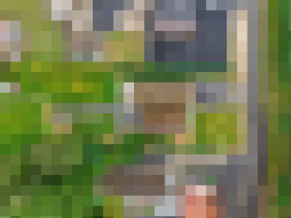 Ballistaruwe 3600 Genk Maastricht thumbnail 5
