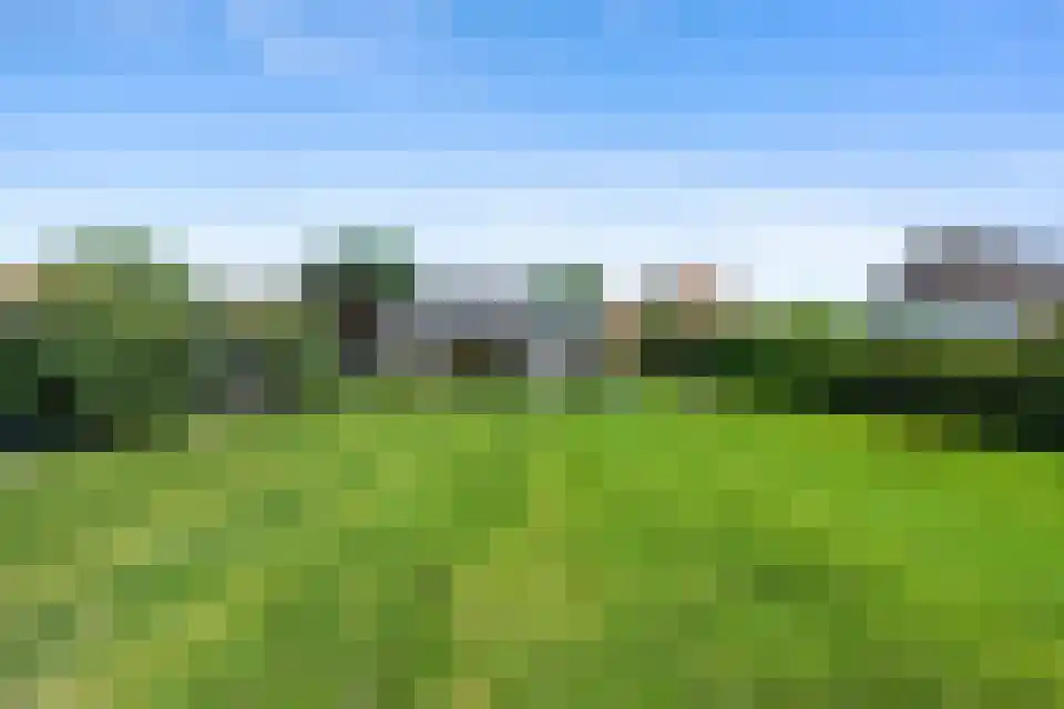 Ballistaruwe 3600 Genk Maastricht thumbnail 5