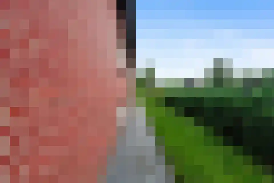 Ballistaruwe 3600 Genk Maastricht thumbnail 6