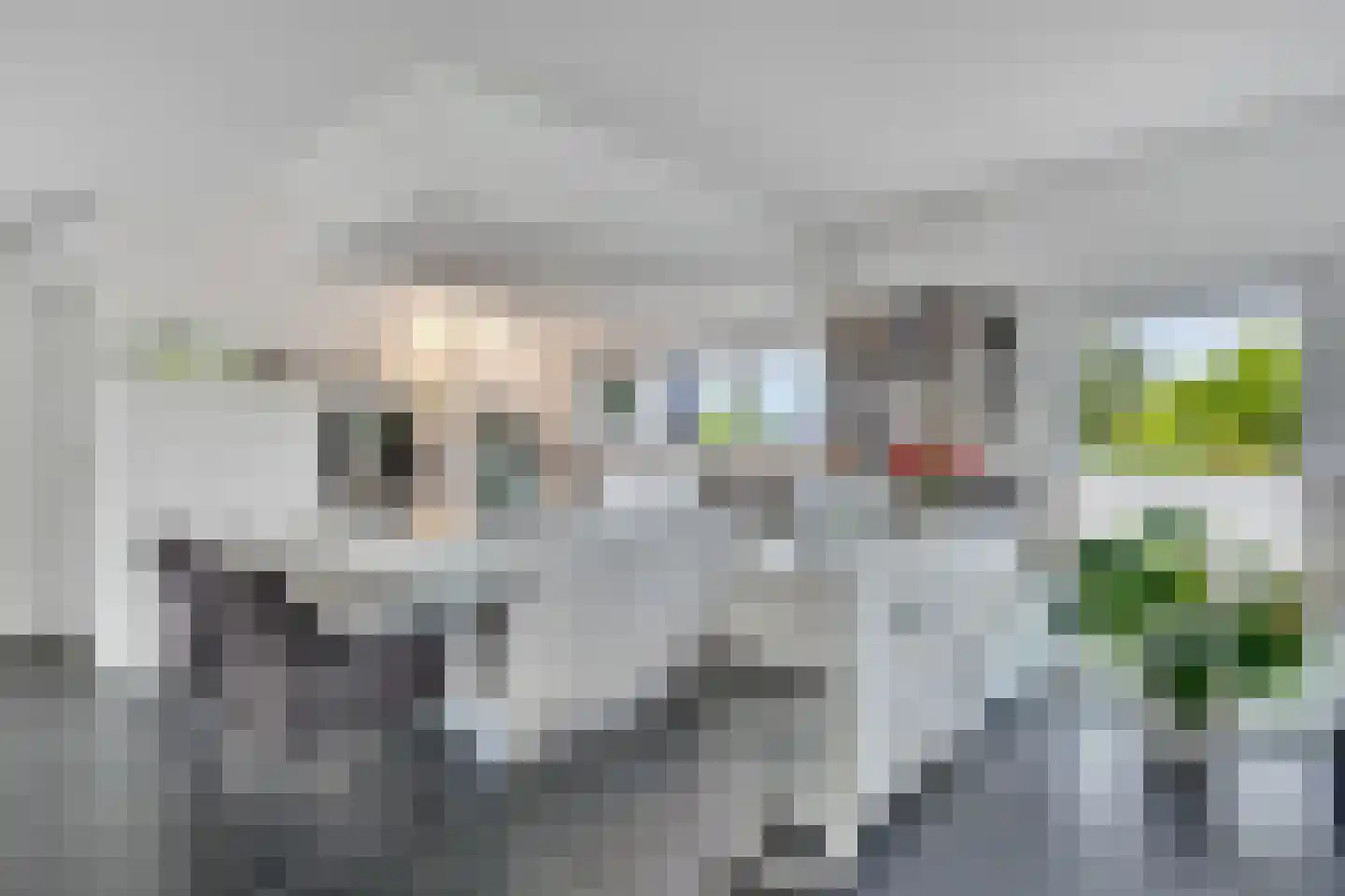 Ballistaruwe 3620 Lanaken Maastricht thumbnail 10
