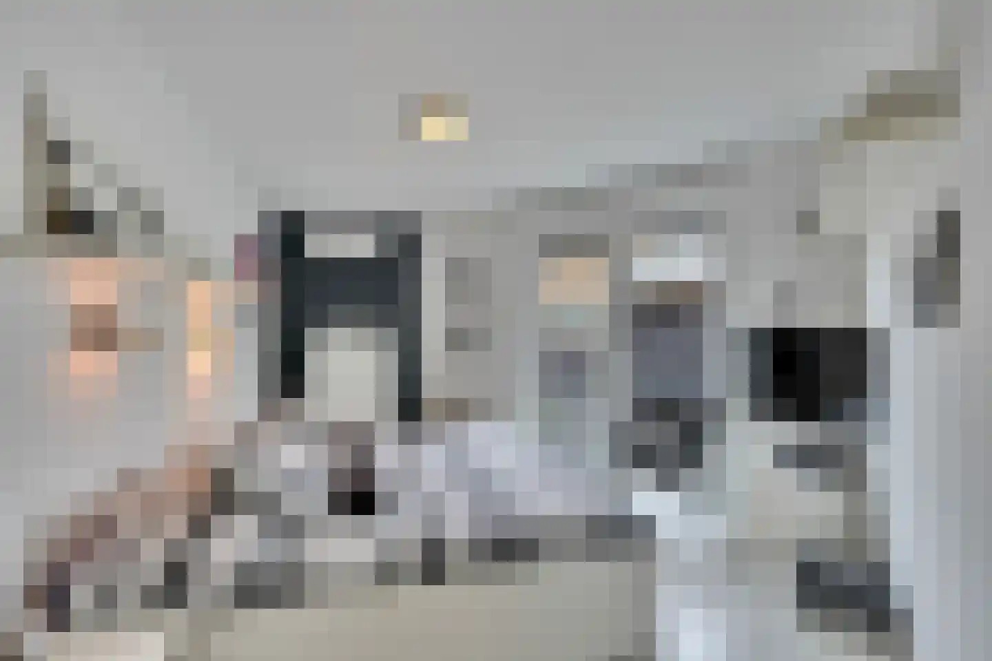 Ballistaruwe 3620 Lanaken Maastricht thumbnail 13