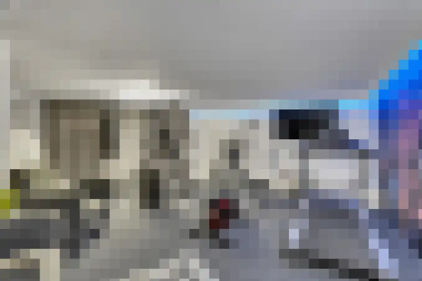 Ballistaruwe 3620 Lanaken Maastricht thumbnail 19