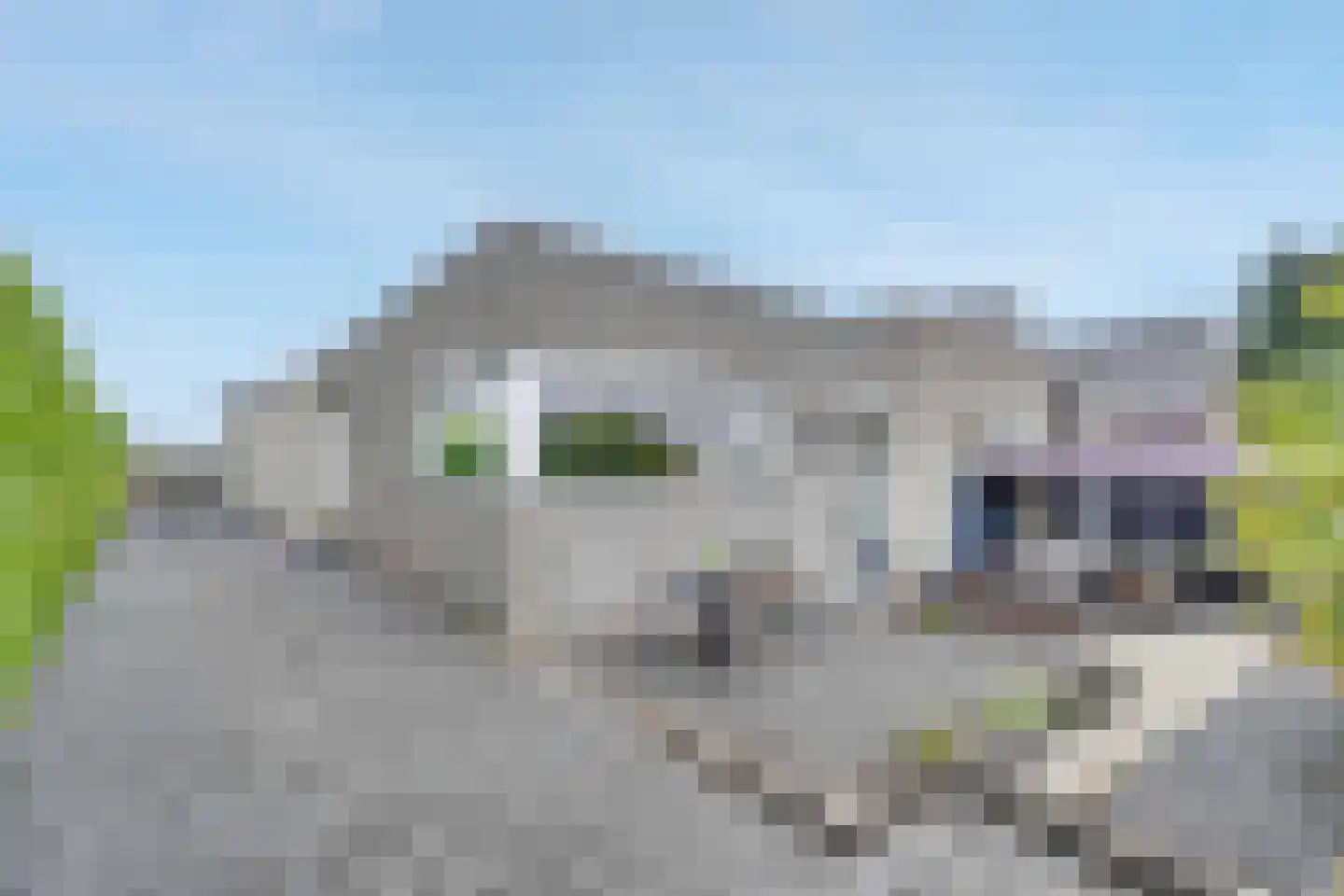 Ballistaruwe 3620 Lanaken Maastricht thumbnail 26