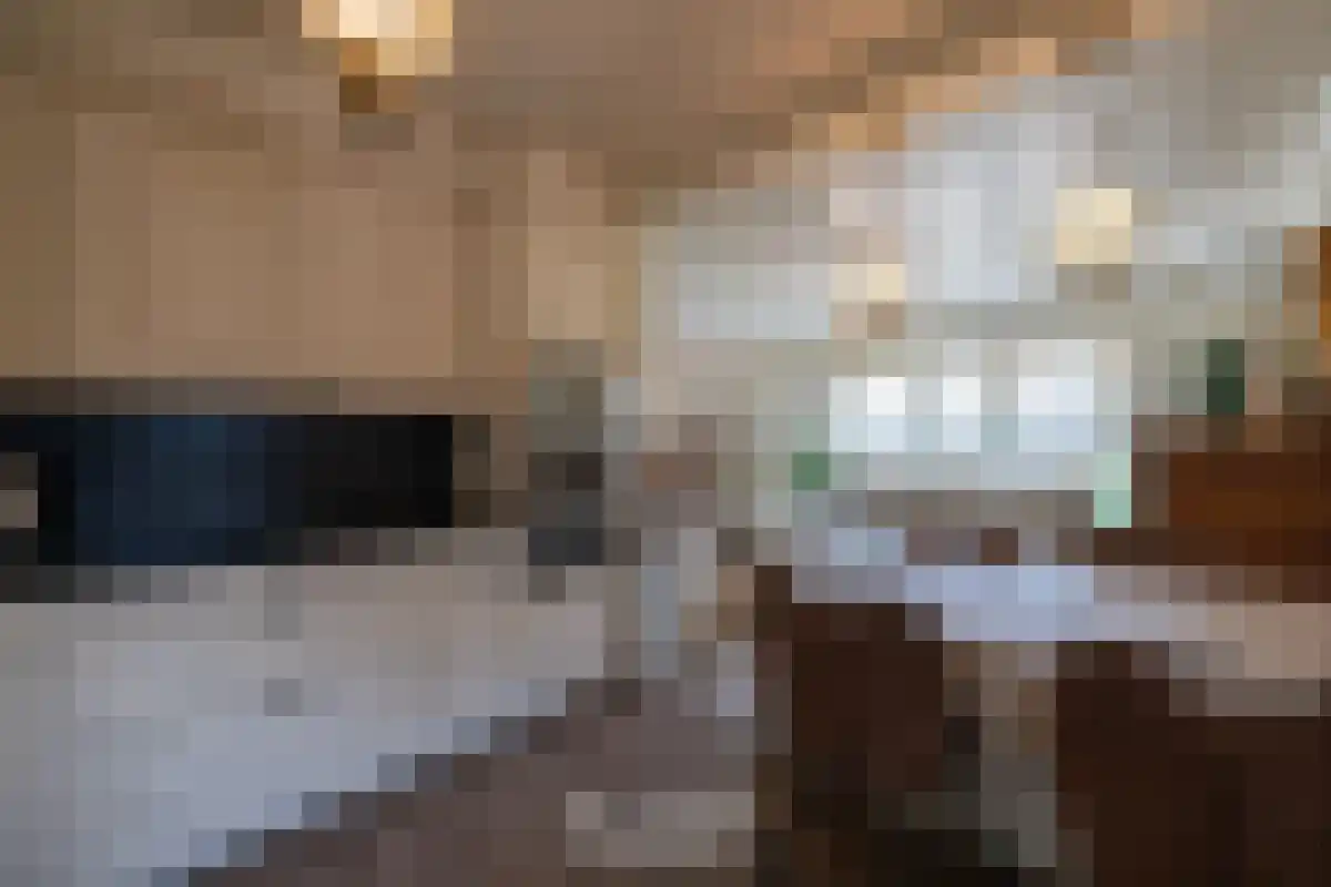 Ballistaruwe 61 Maastricht thumbnail 5