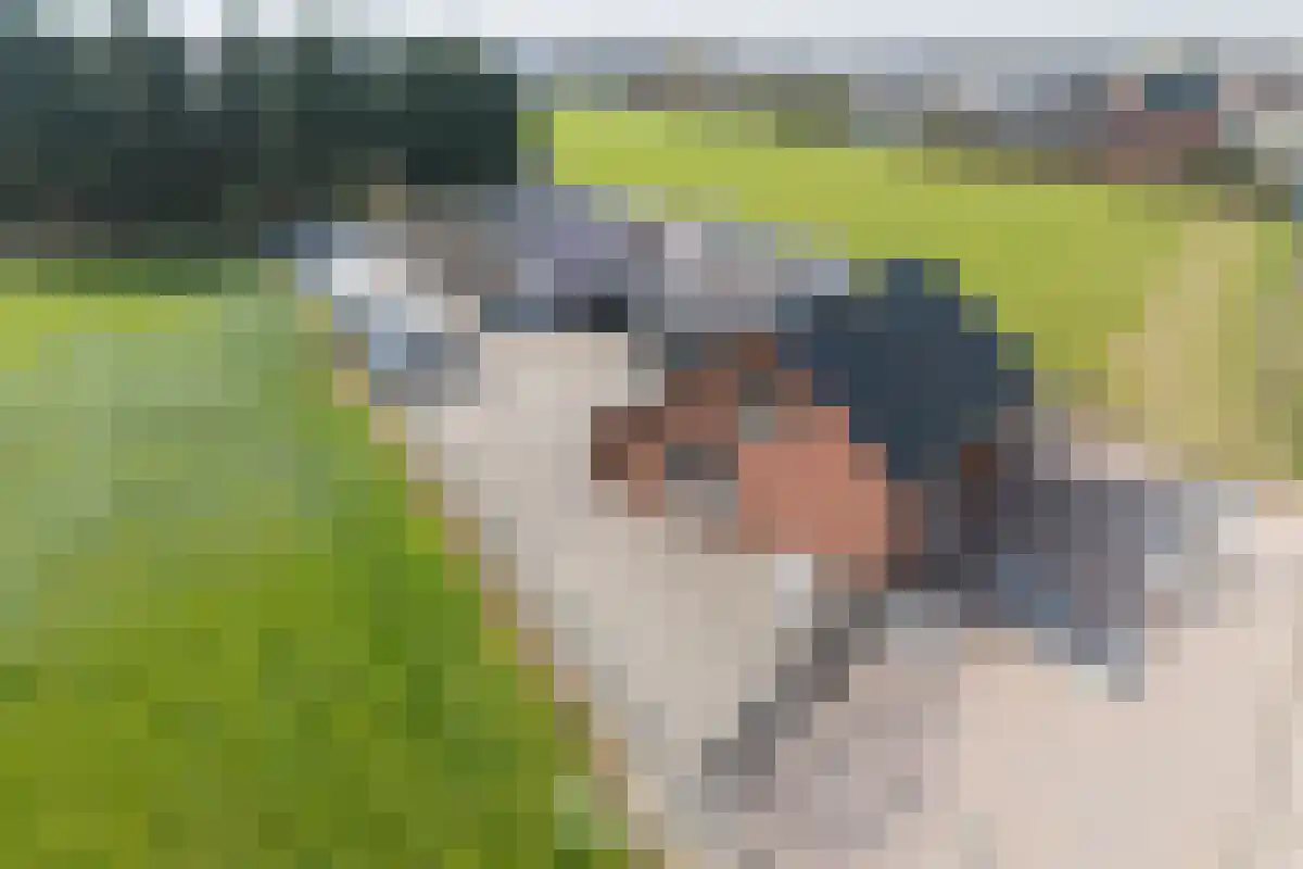 Ballistaruwe 61 Maastricht thumbnail 6