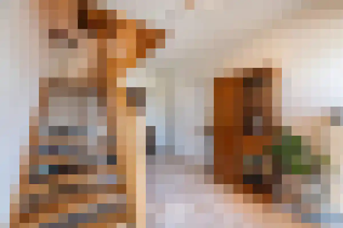 Ballistaruwe 61 Maastricht thumbnail 7