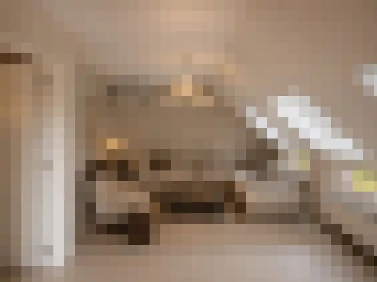 Ballistaruwe 7 Maastricht thumbnail 4