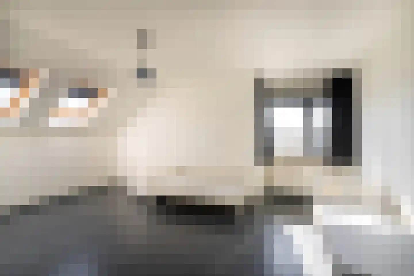 Ballistaruwe 78 Maastricht thumbnail 5