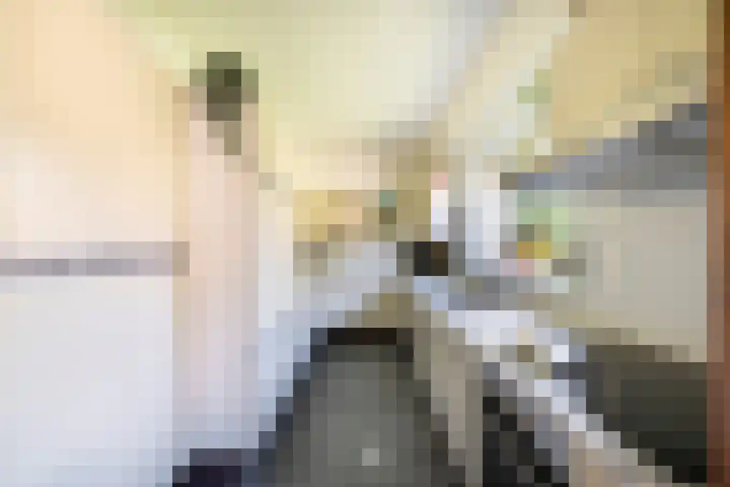 Ballistaruwe 95 Maastricht thumbnail 4