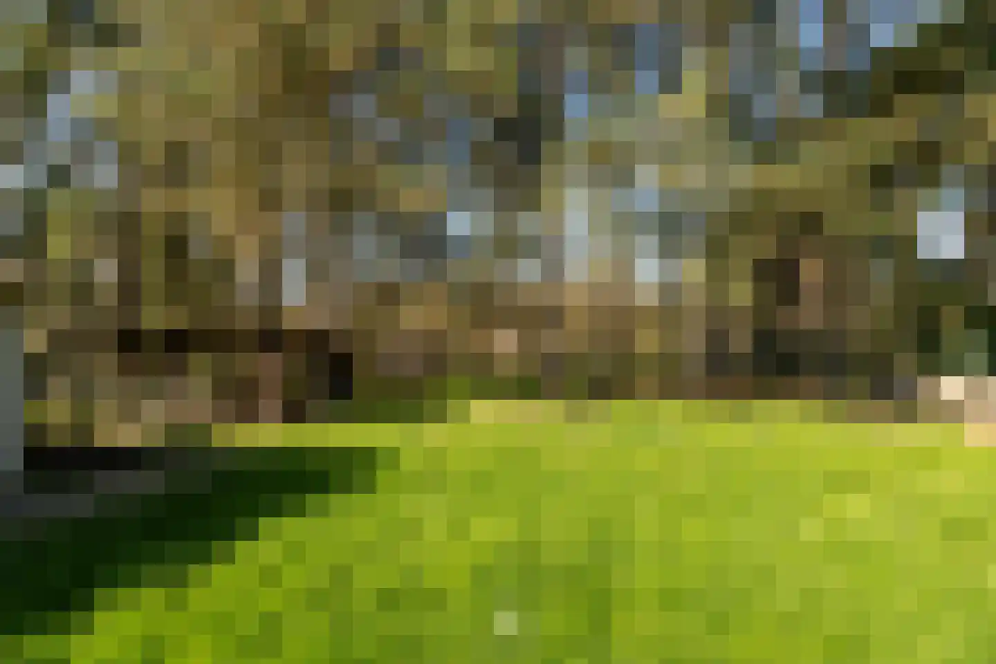 Ballistaruwe 95 Maastricht thumbnail 8
