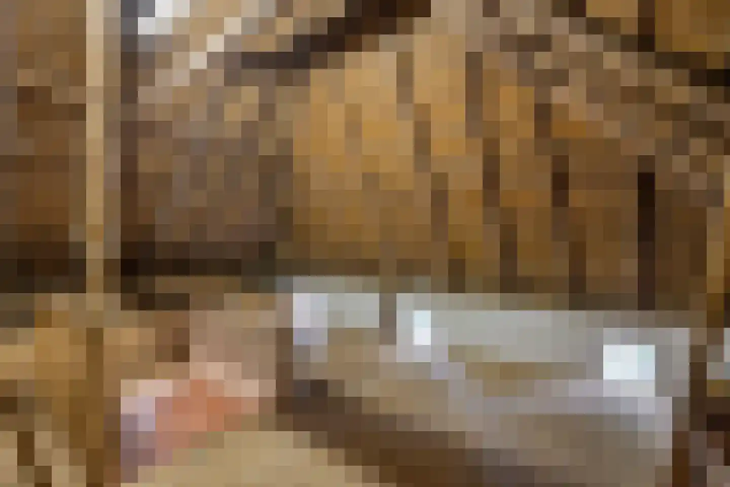 Balloërstraat 4 Rolde thumbnail 36