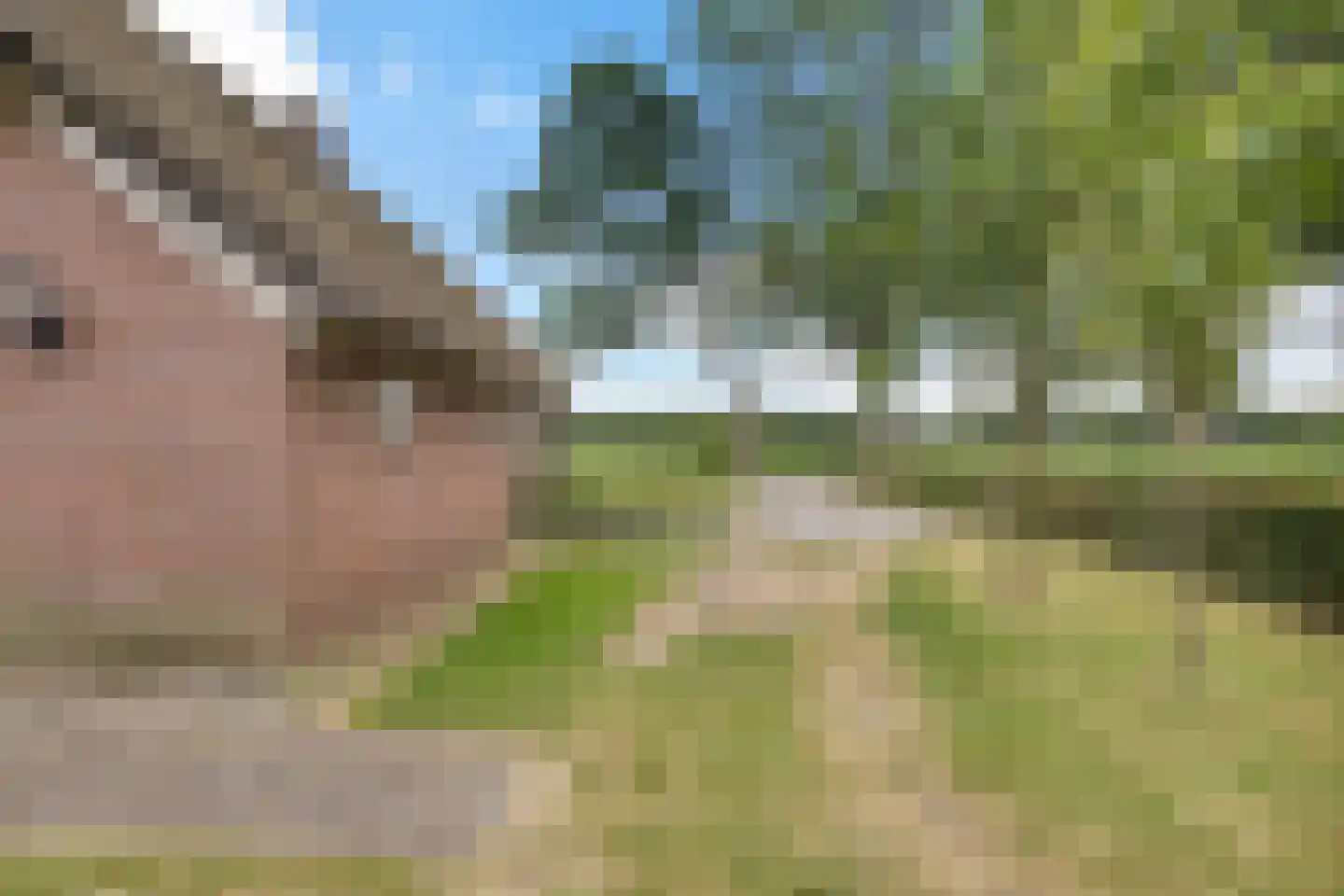 Balloërstraat 4 Rolde thumbnail 45