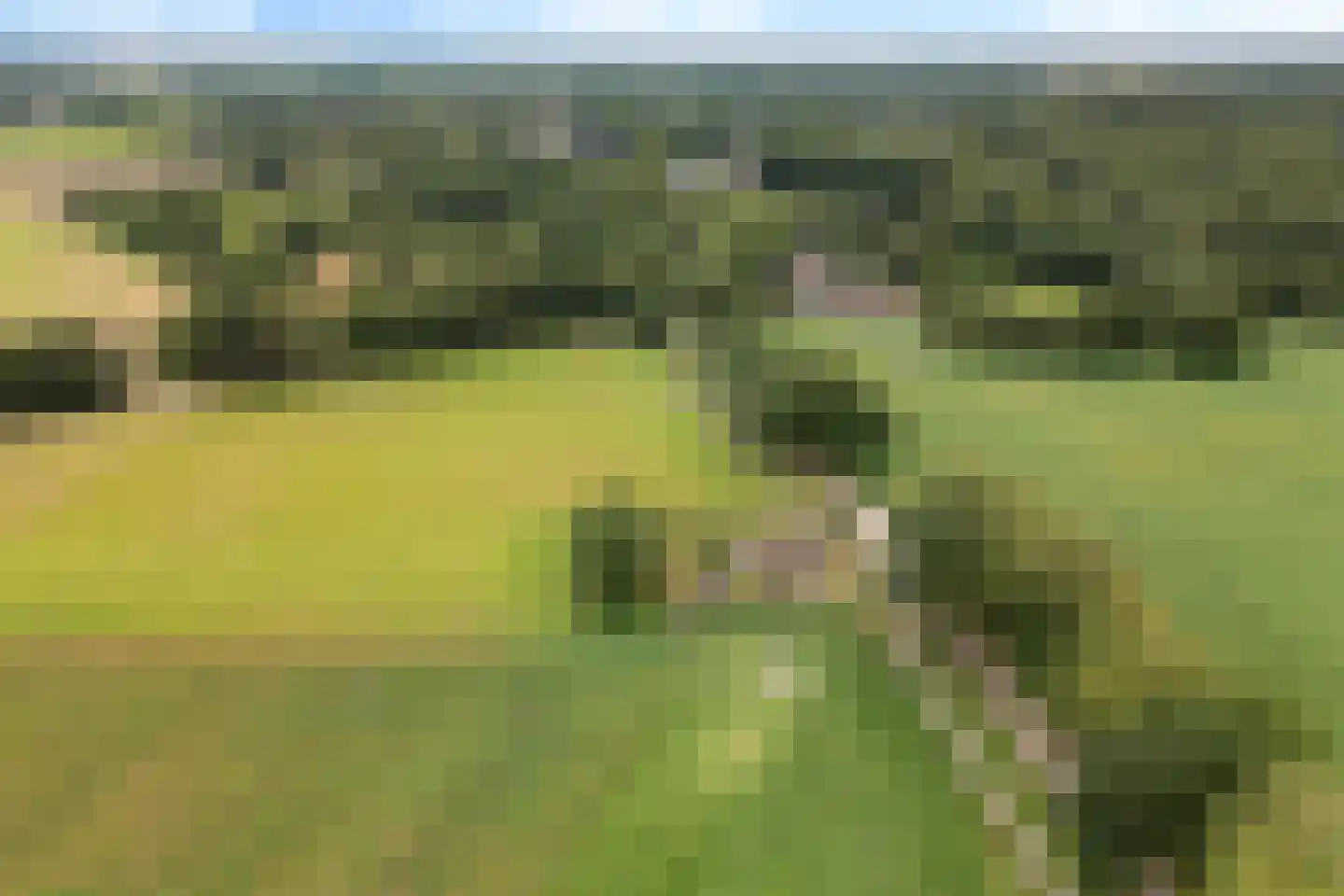 Balloërstraat 4 Rolde thumbnail 53