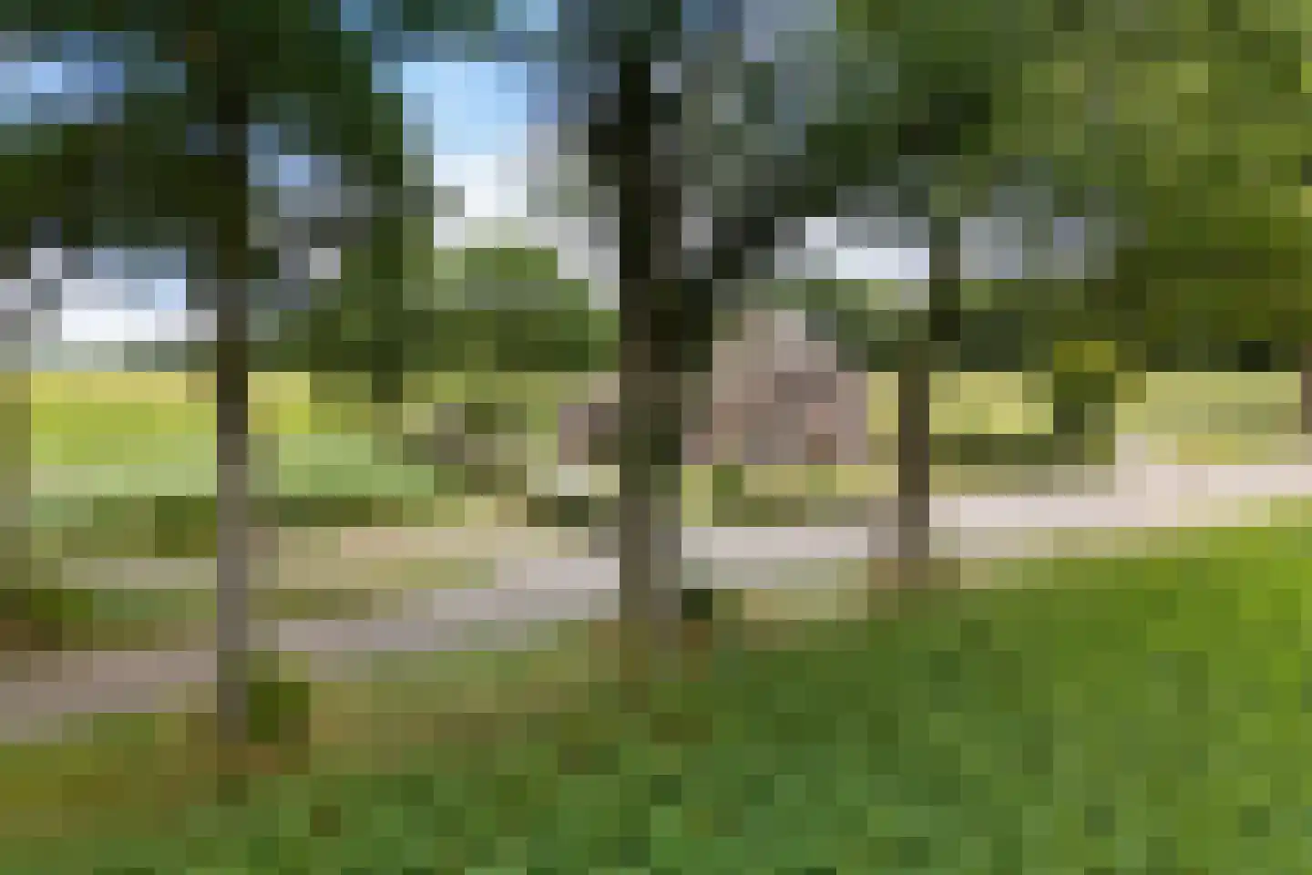 Balloërstraat 4 Rolde thumbnail 8