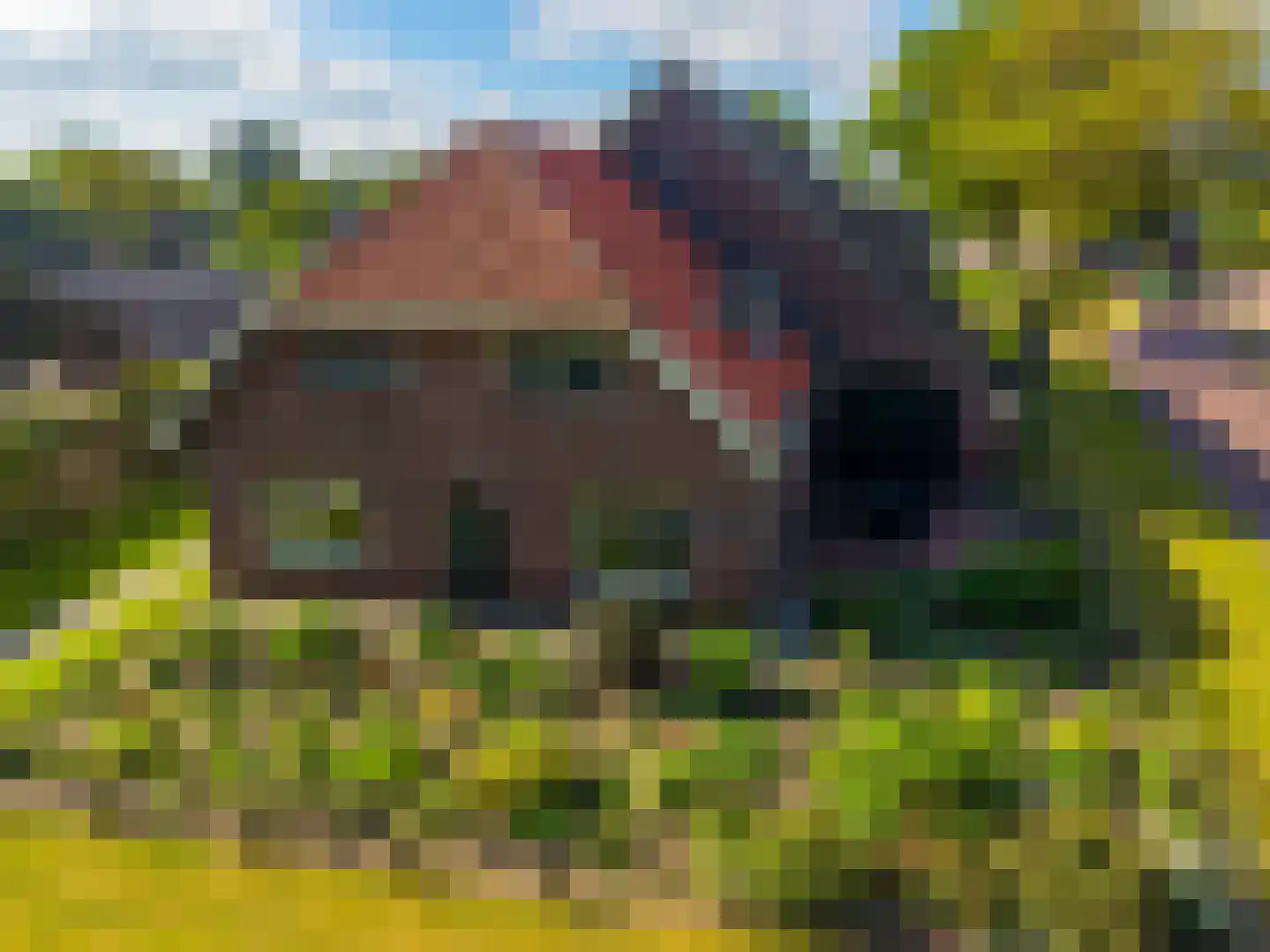 Balloërweg 2 Loon