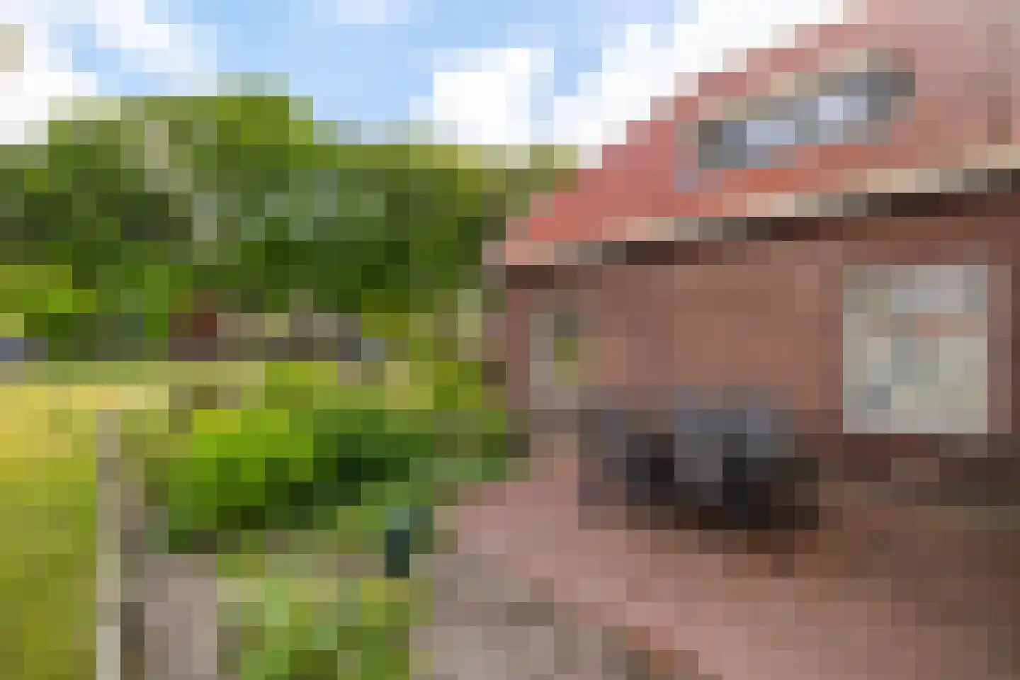 Balloërweg 2 Loon thumbnail 20
