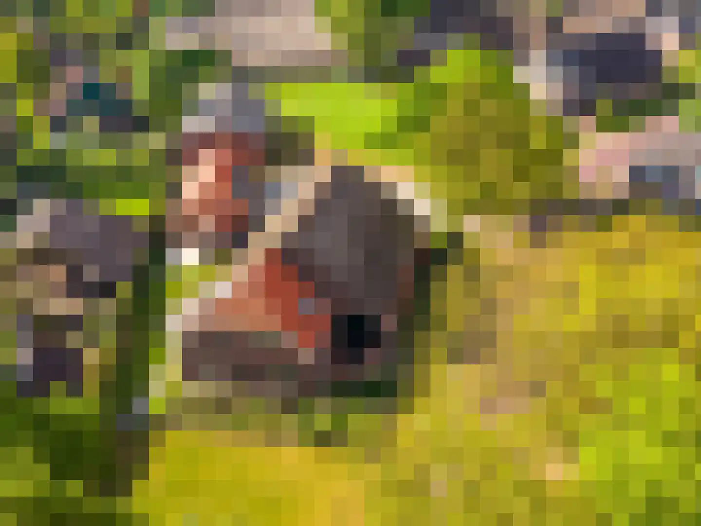 Balloërweg 2 Loon thumbnail 4