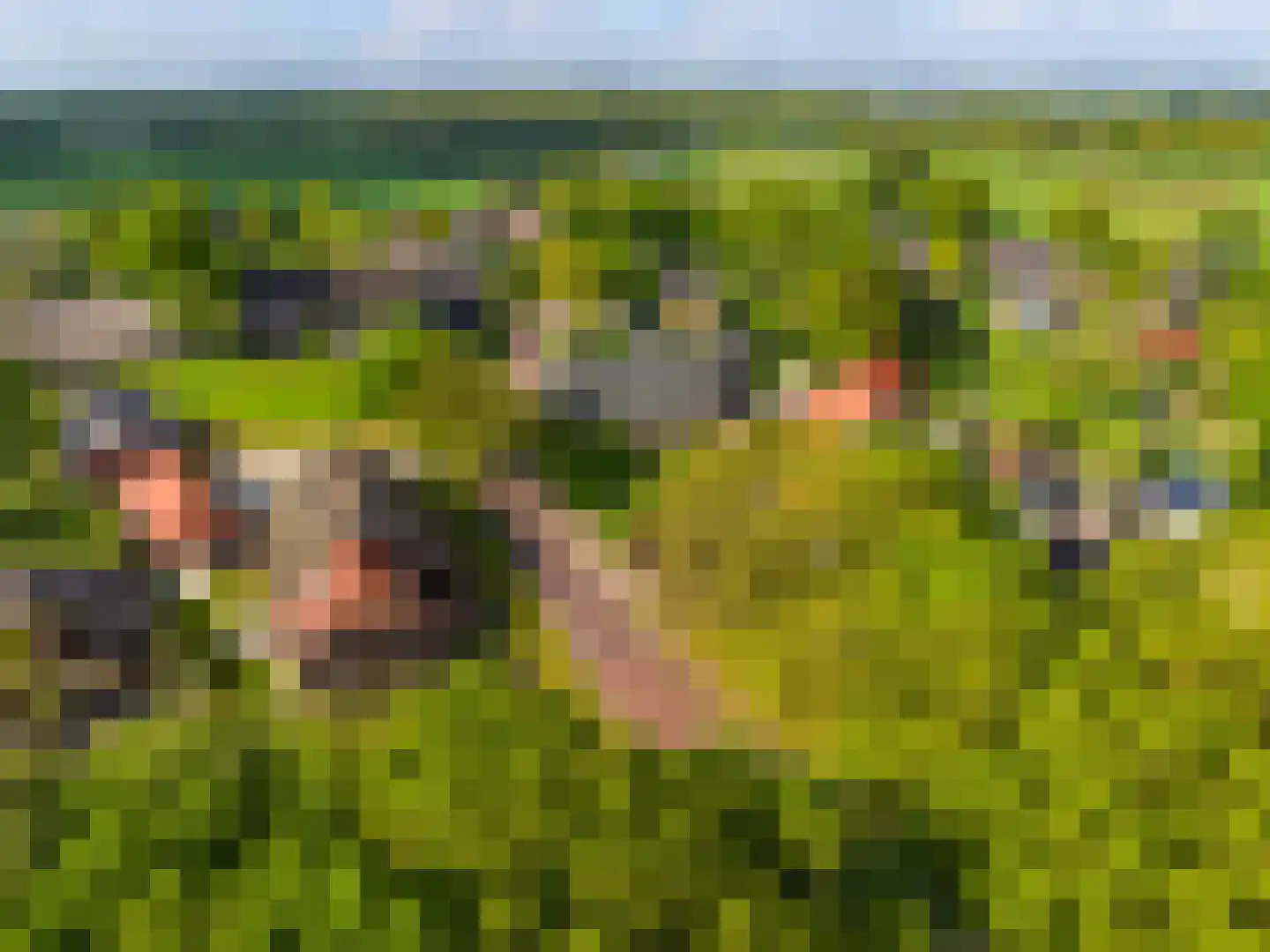Balloërweg 2 Loon thumbnail 4