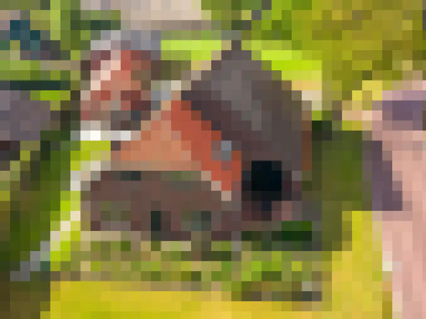 Balloërweg 2 Loon thumbnail 5