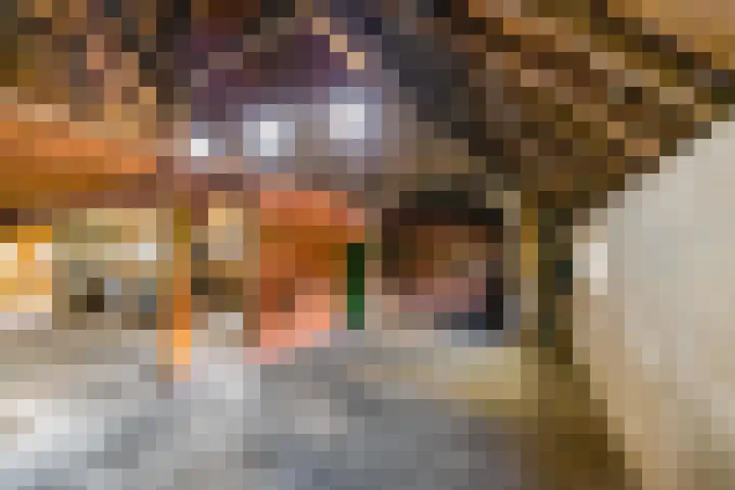 Balloërweg 2 Loon thumbnail 53