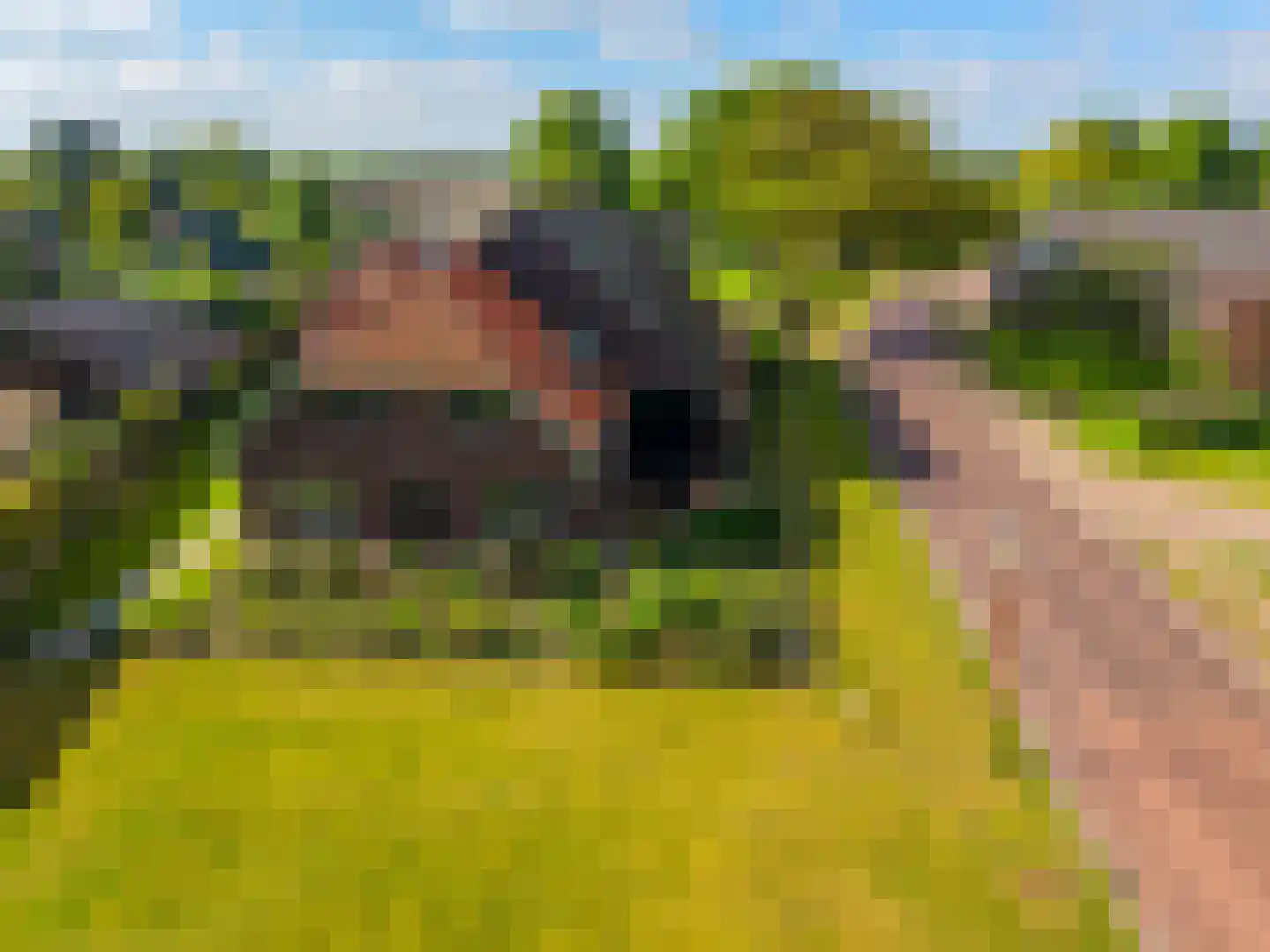 Balloërweg 2 Loon thumbnail 6