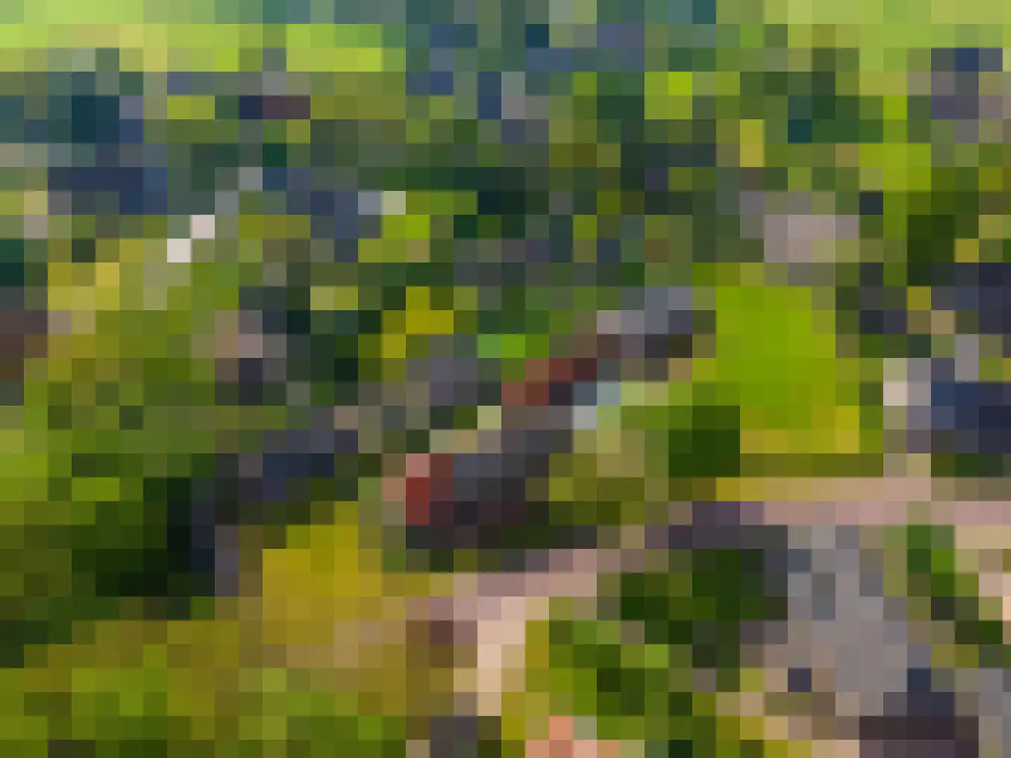 Balloërweg 2 Loon thumbnail 8