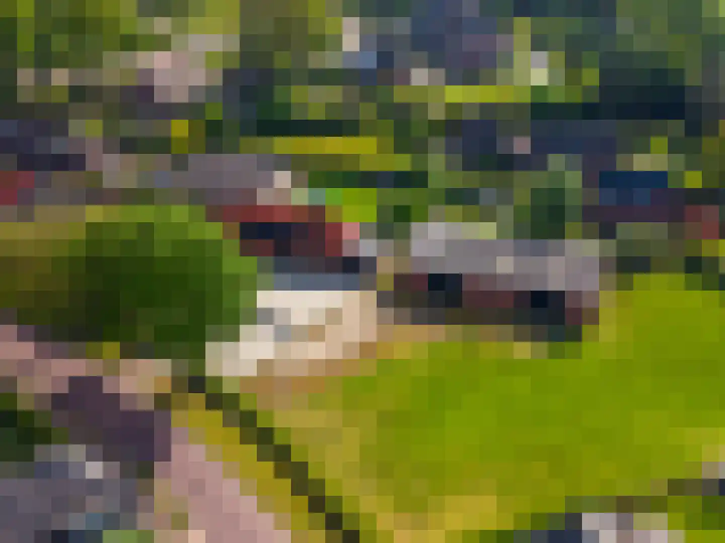 Balloërweg 2 Loon thumbnail 9