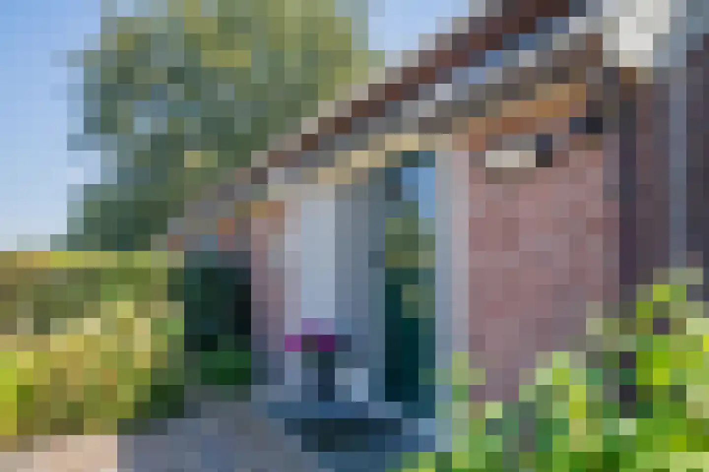 Balloërweg 7 Loon thumbnail 20