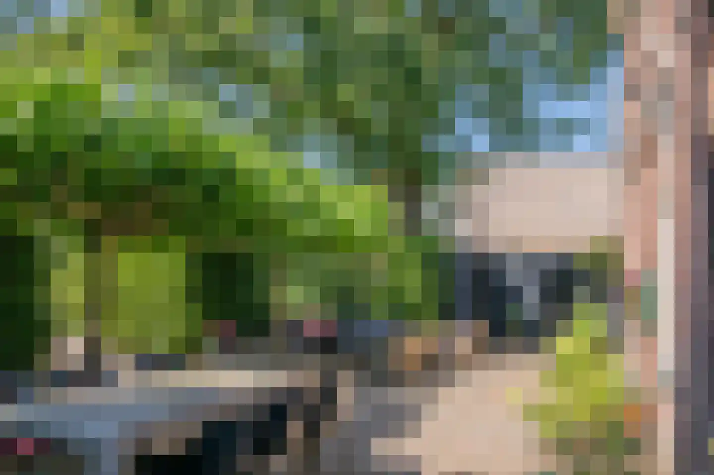 Balloërweg 7 Loon thumbnail 76