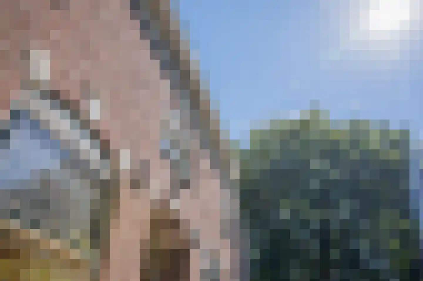 Balloërweg 7 Loon thumbnail 79