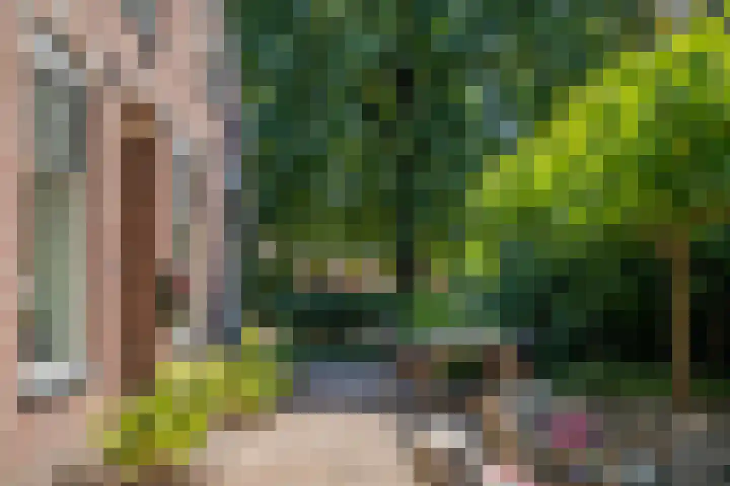 Balloërweg 7 Loon thumbnail 82