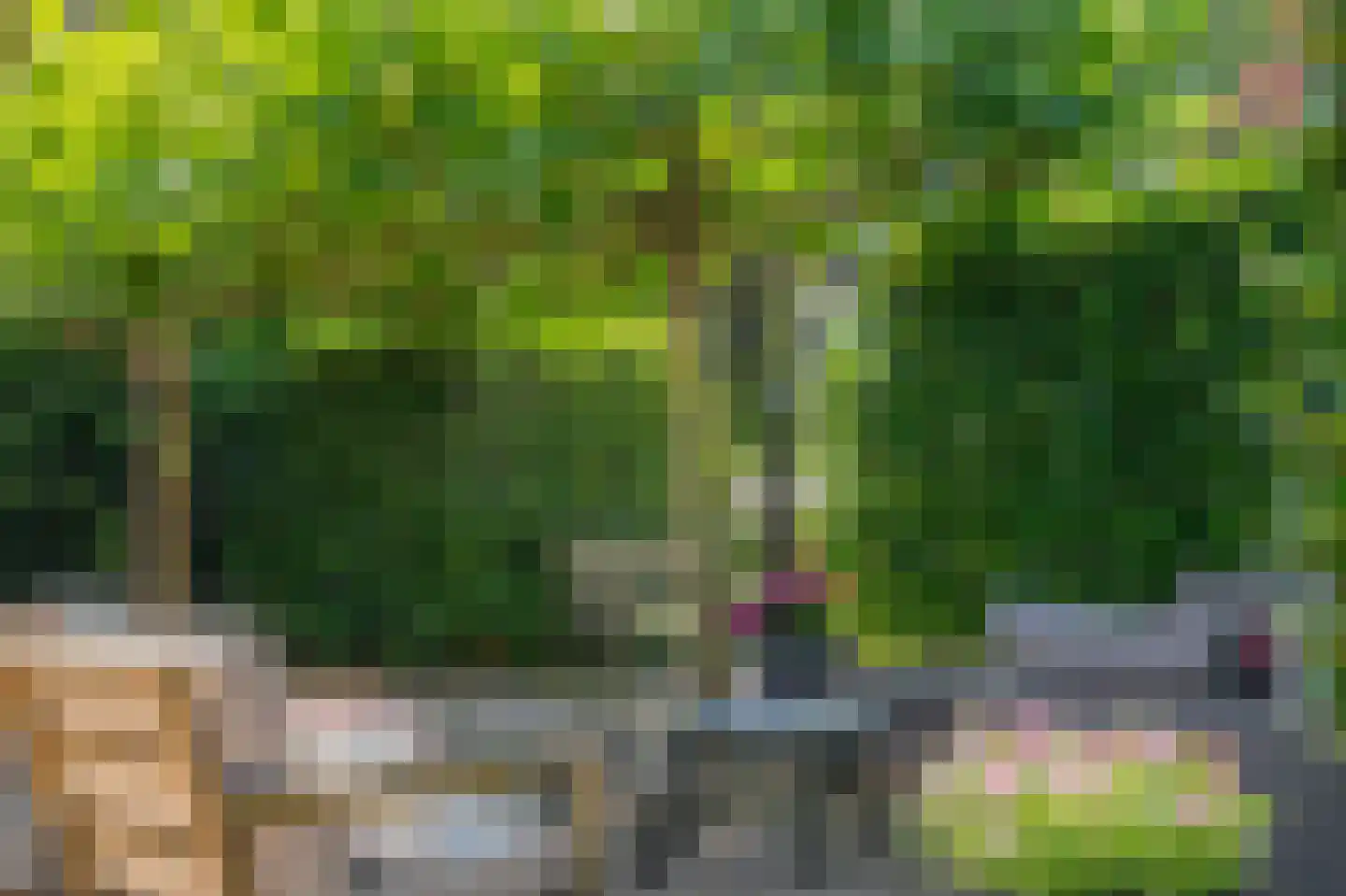 Balloërweg 7 Loon thumbnail 83