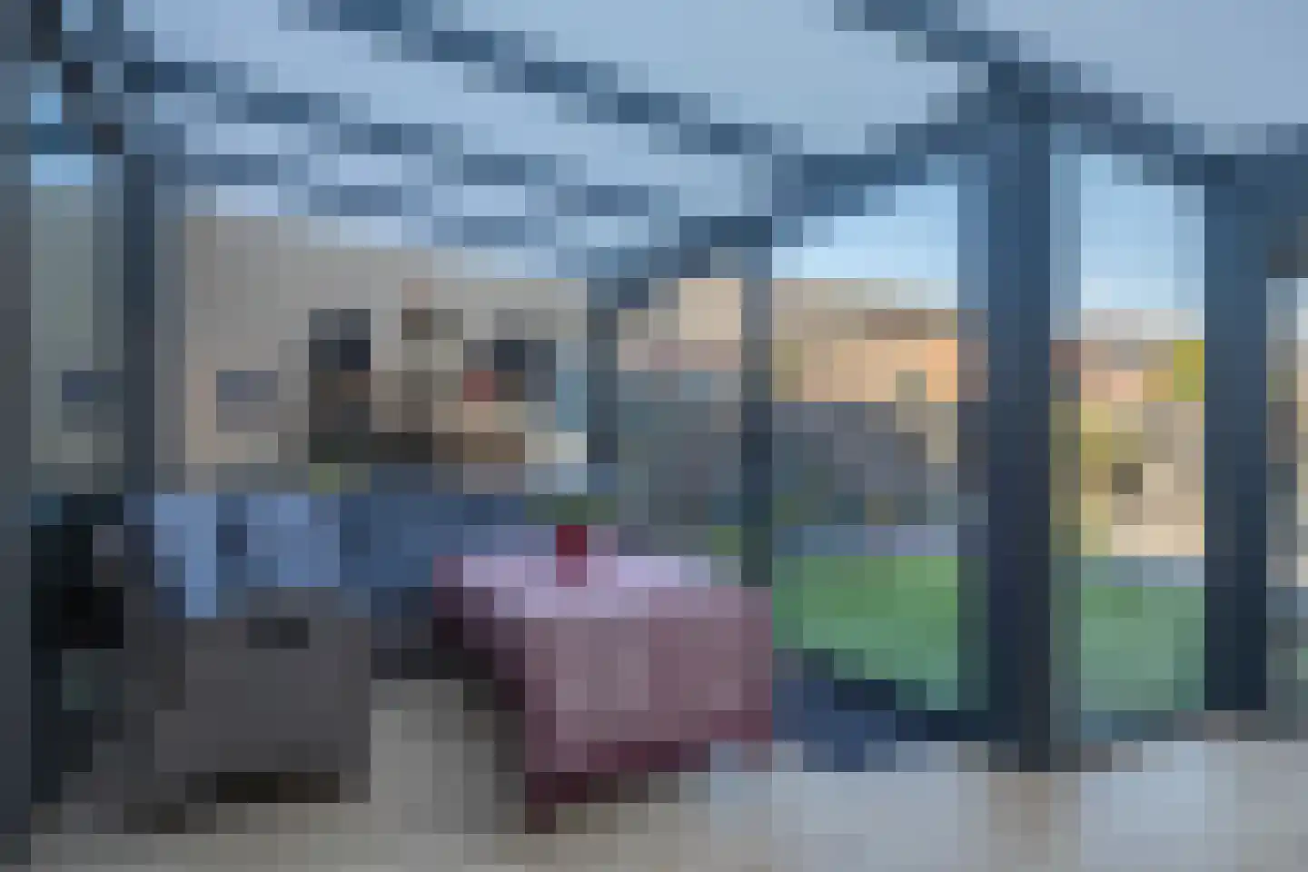 Ballonvaart 9 Arnhem thumbnail 16