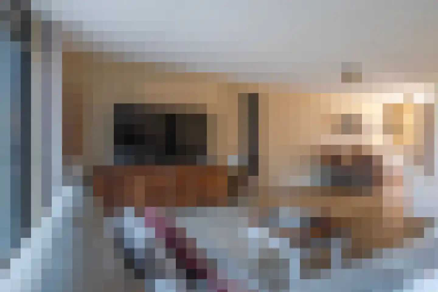 Ballonvaart 9 Arnhem thumbnail 9